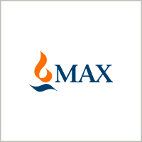 Max Financial Services Limited