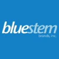 Bluestem Group Inc