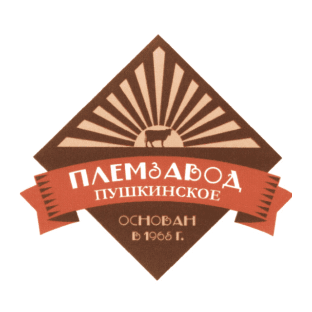 ПушкПЗ1Р01